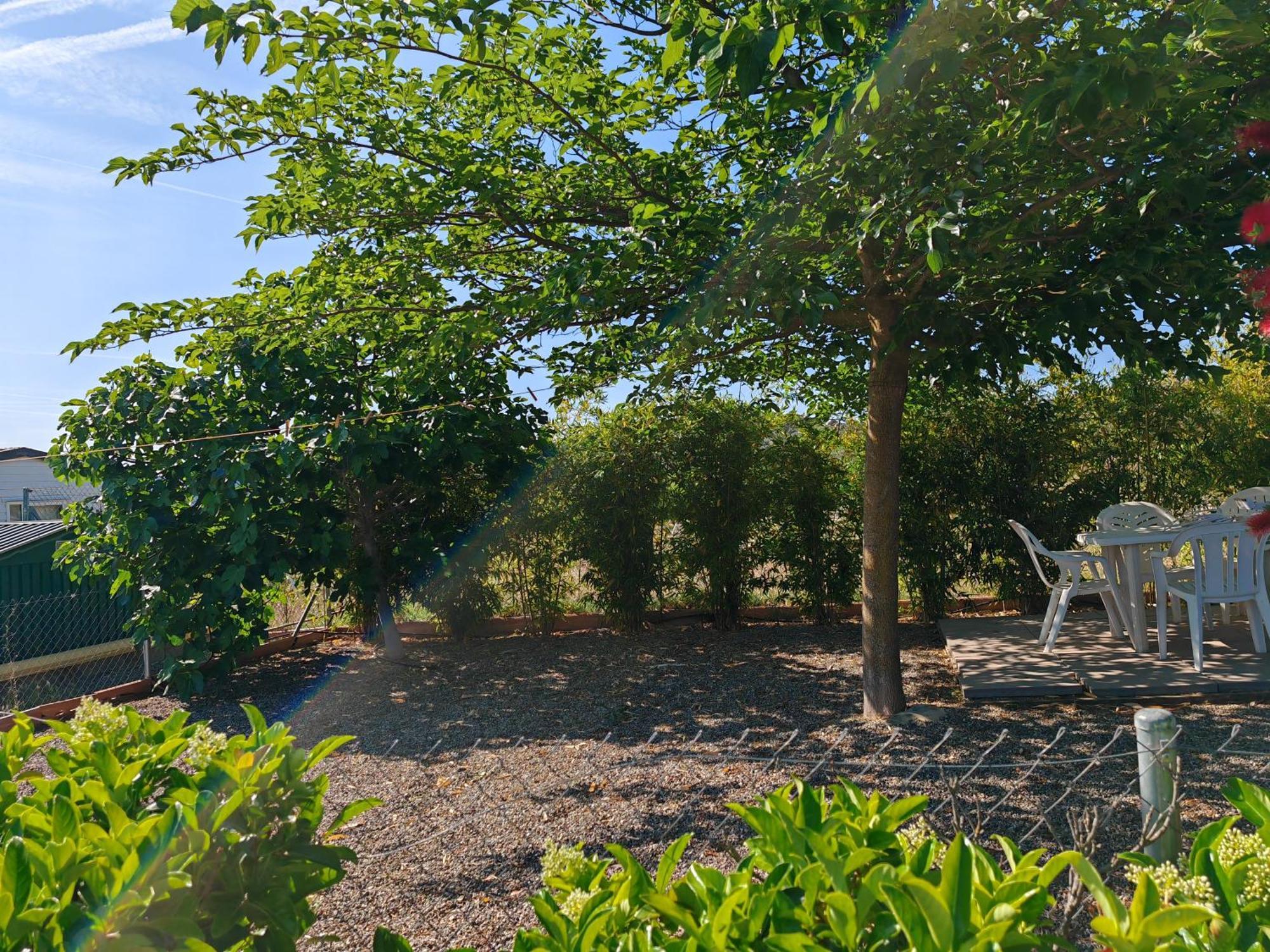 Apartment Montana-camping-fayon *